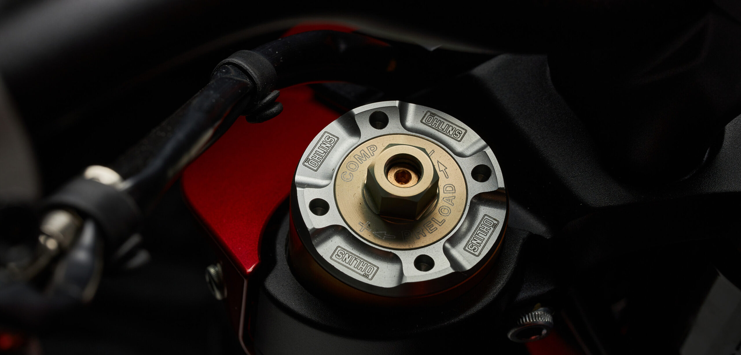 brutale-serie-oro-08